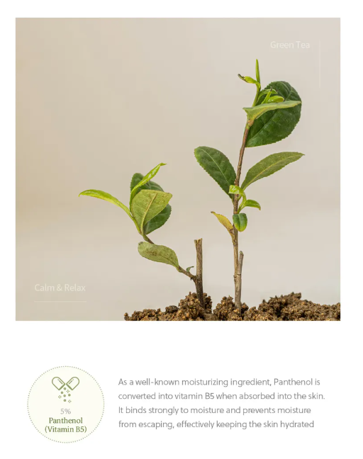 [Beauty of Joseon] Calming Serum Green Tea + Panthenol 30ml